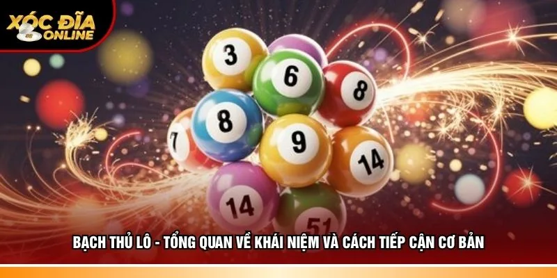 Bạch thủ lô