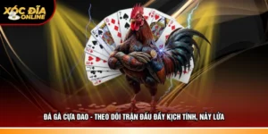 Đá gà cựa dao