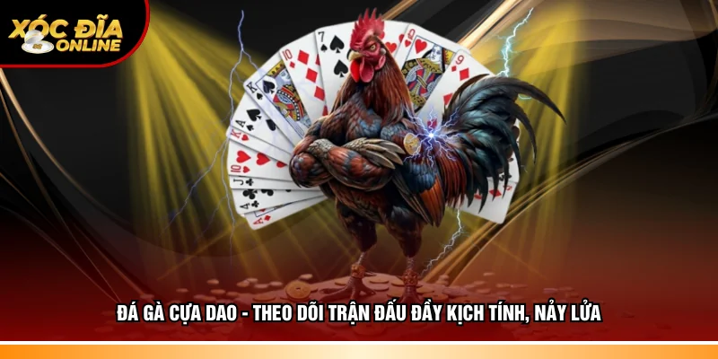 Đá gà cựa dao