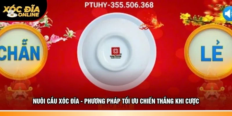 Nuôi cầu xóc đĩa
