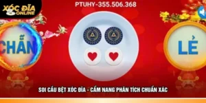 Soi cầu bệt xóc đĩa